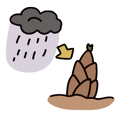 雨後の筍