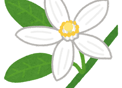 開花 の意味と使い方や例文 開化 咲く との違いは 類義語 対義語 二字熟語の百科事典