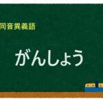 「がんしょう」の同音異義語