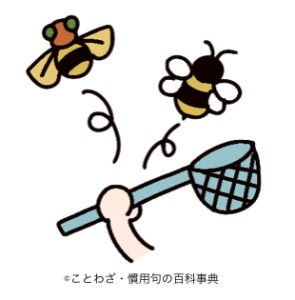 虻蜂取らず