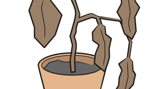 死んで花実が咲くものか の意味と使い方や例文 類義語 対義語 英語訳 ことわざ 慣用句の百科事典