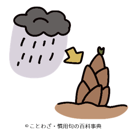 雨後の筍