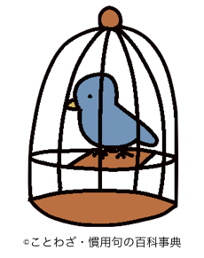 籠の鳥