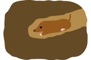 帳尻を合わせる の意味と使い方や例文 慣用句 ことわざ 慣用句の百科事典