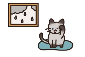 猫が顔を洗うと雨 の意味と使い方や例文 語源由来 ことわざ 慣用句の百科事典