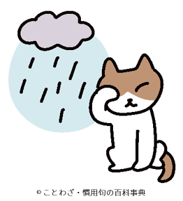猫が顔を洗うと雨