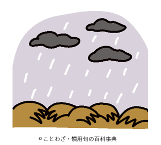 草腐しの雨は七日続く