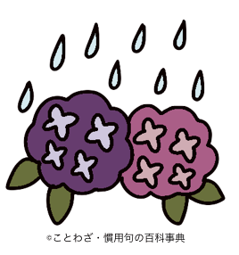雨は花の父母