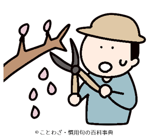 【枝を矯めて花を散らす】の意味と使い方や例文！語源由来は？（類義語・対義語・英語） – ことわざ・慣用句の百科事典