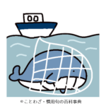 鰯網で鯨捕る