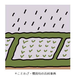 寒九の雨