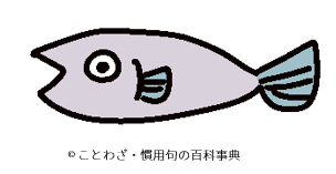 【雑魚も魚鰭】の意味と使い方や例文(語源由来) – ことわざ・慣用句の百科事典