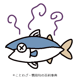 鯖の生き腐り