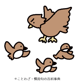 【千雀万鳩鷂と仇を為す】の意味と使い方や例文（語源由来・出典・類義語） – ことわざ・慣用句の百科事典