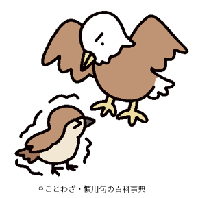 鷹の前の雀