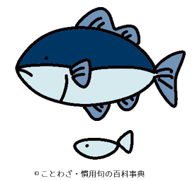 呑舟の魚