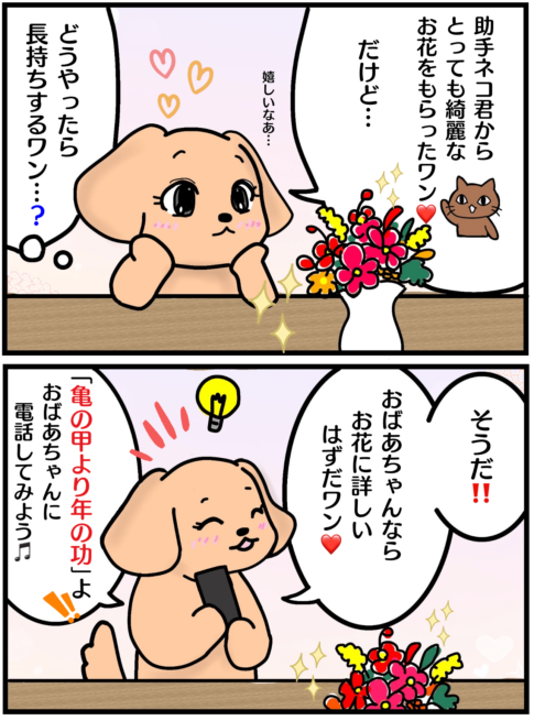 「亀の甲より年の功」の漫画