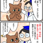 「聞くは一時の恥聞かぬは一生の恥」の漫画
